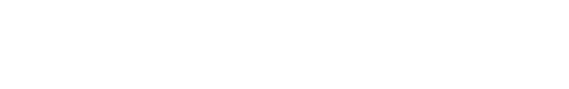 RAI-PROMOTION